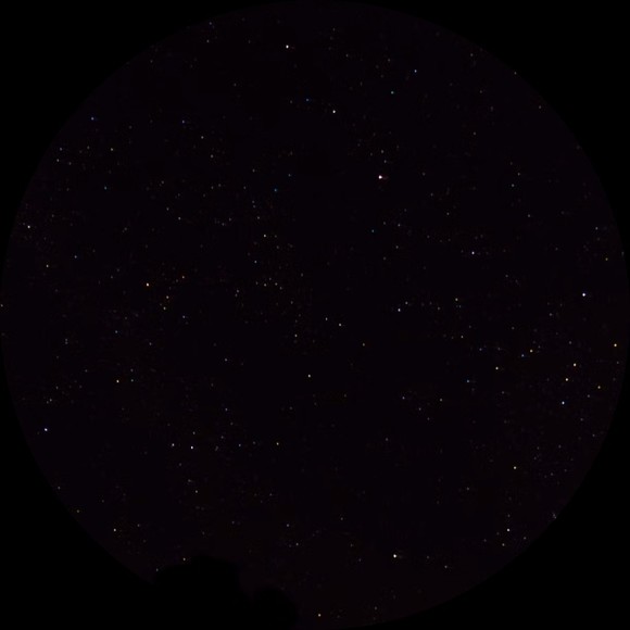 peacocknj0